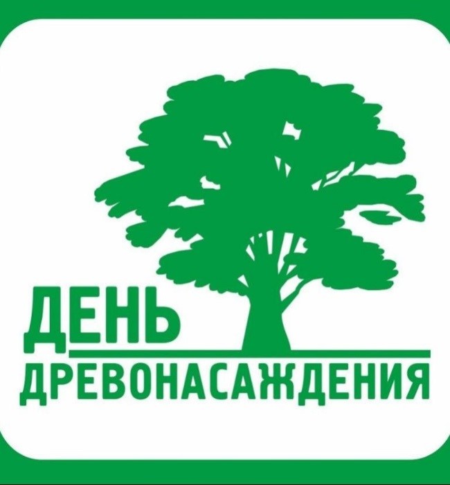 foto 07 04 2021 11 08
