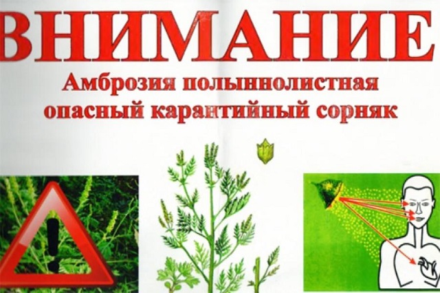 foto 24 06 2021 15 04 1