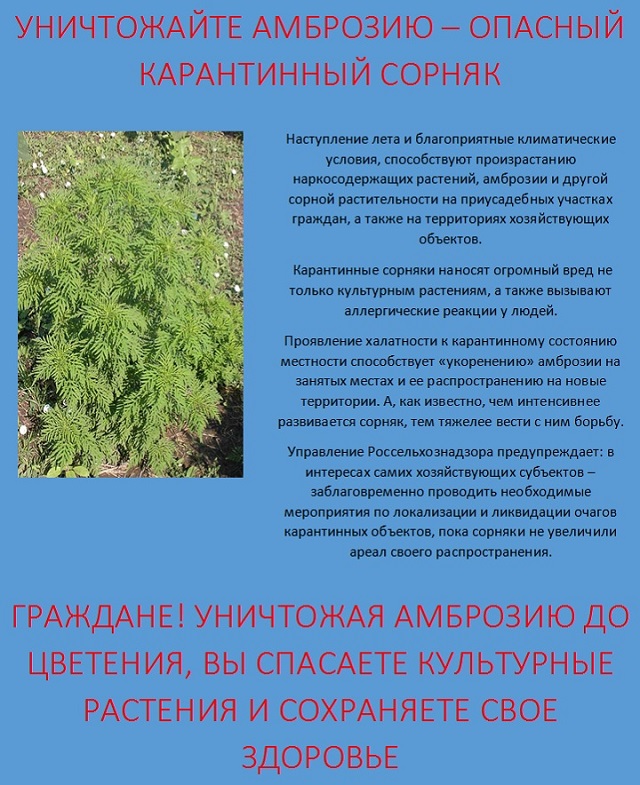 foto 24 05 2023 11 50 2