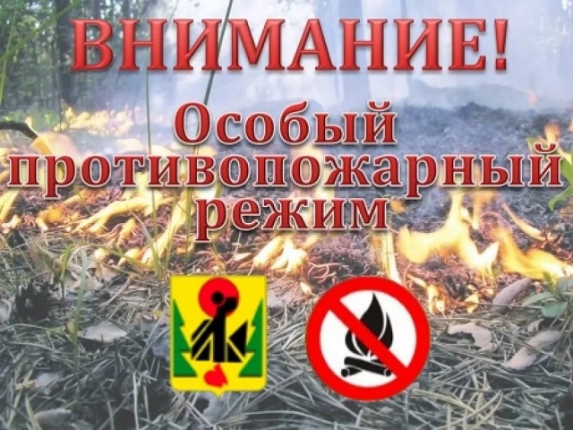 protivopoj rejim